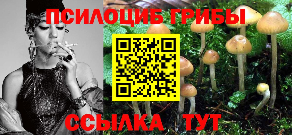 Галлюциногенные грибы прущие грибы  Псилоцибиновые грибы Magic Shrooms  Вход с VPN  Гуково 